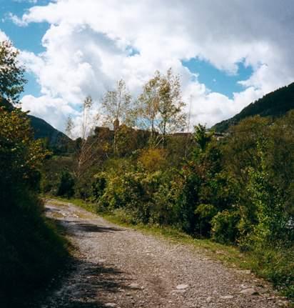camino.JPG